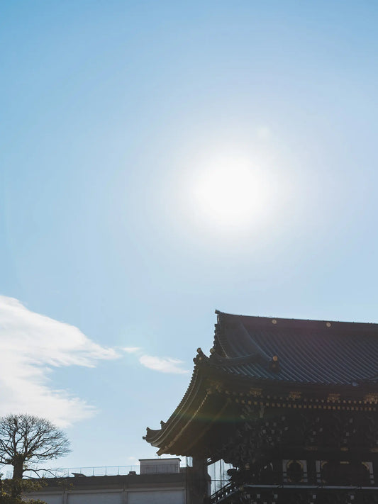 1.6. Tue. ｜ 日常飯