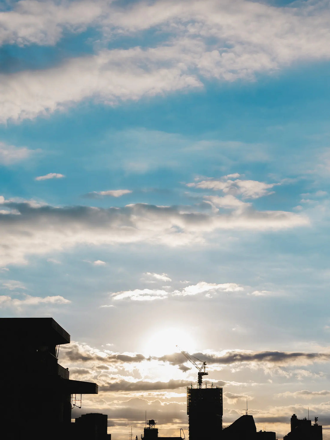 1.1. Thu. ｜明けましておめでとうございます