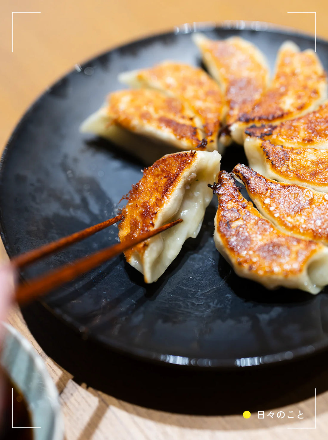 8.1 Fri. ｜ 冷凍餃子