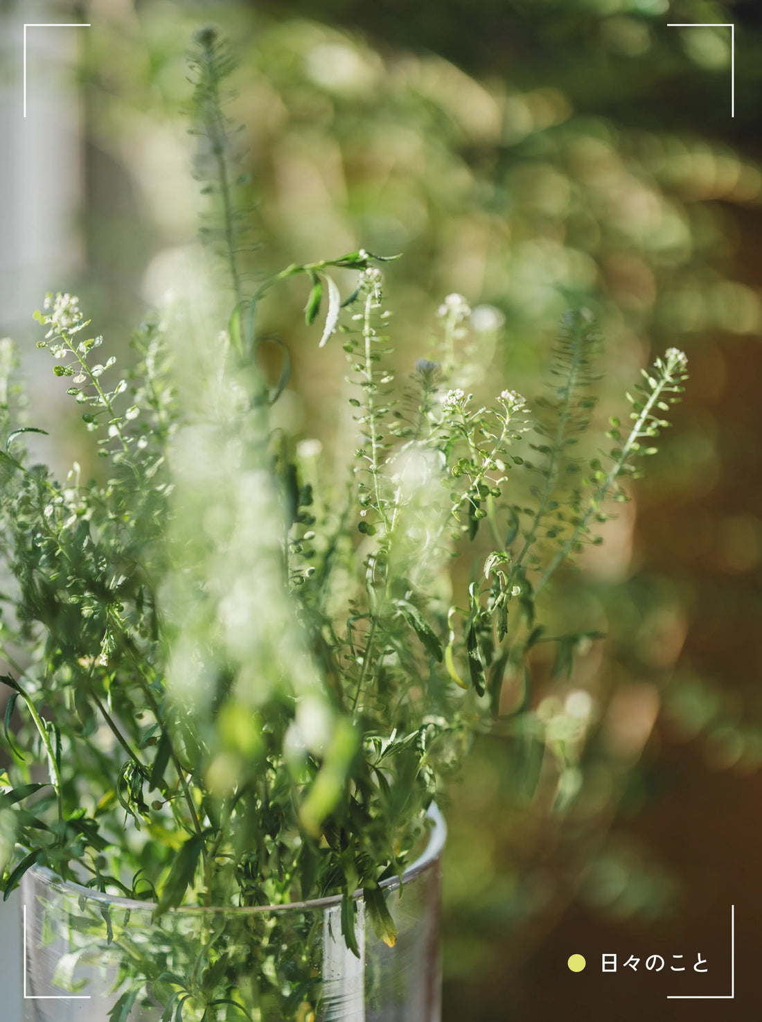 1.22. Thu. ｜ 一流