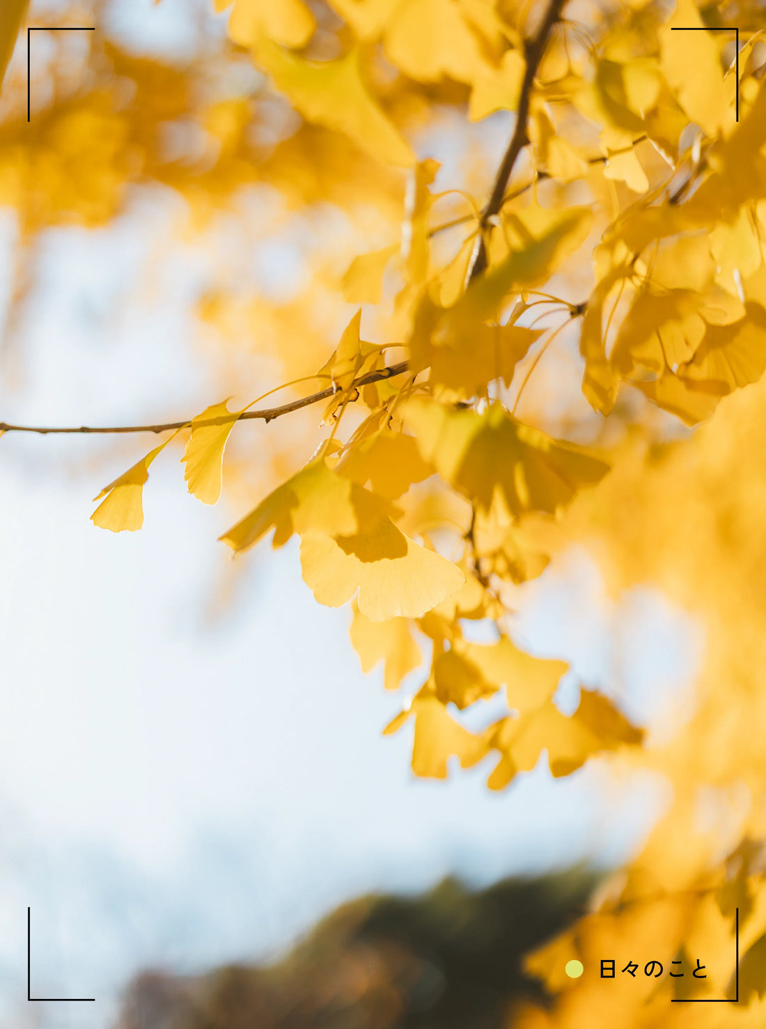 12.5 Fri. ｜ 大人になった、のか