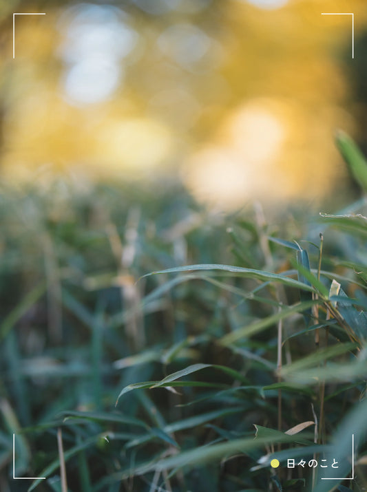 12.11 Thu. ｜ 本当にあった不思議な話し