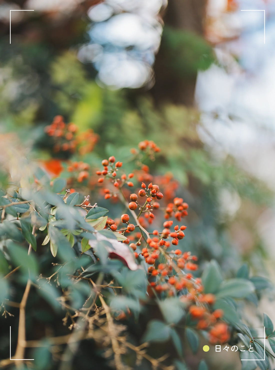 11.17 Mon. ｜ スパム指数