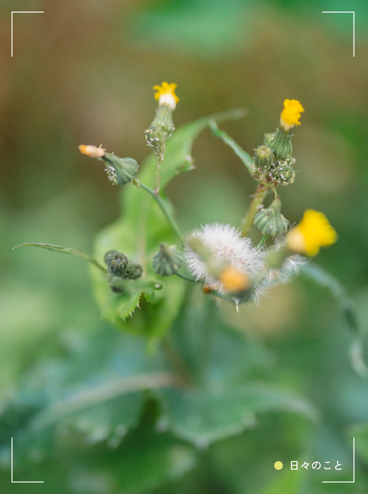 1.20. Tue. ｜ あいつがやってきている気がする