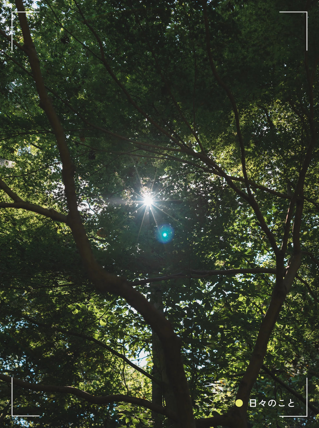 9.5 Fri. ｜ 続・展示会に行ってきた