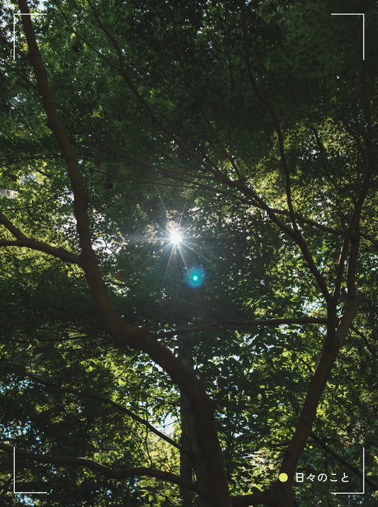 9.5 Fri. ｜ 続・展示会に行ってきた