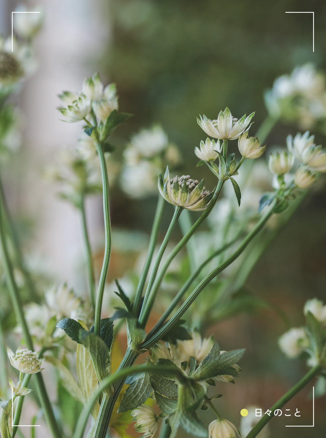 12.30. Tue. ｜ 年末年始の目標