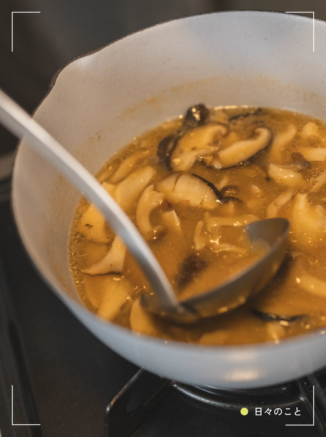 9.22 Mon. ｜ 馴染む