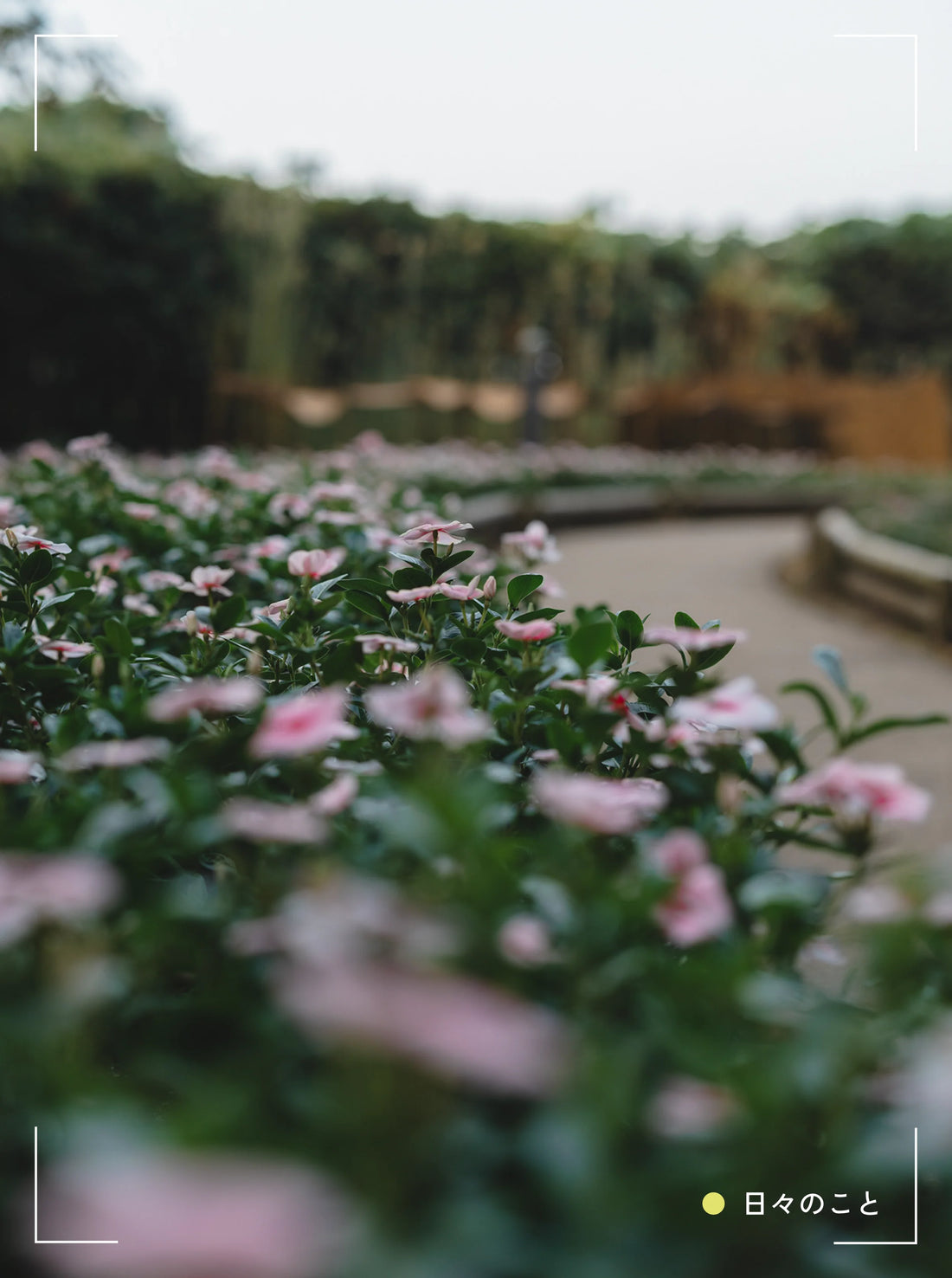 10.22 Wed. ｜ 認識と表現