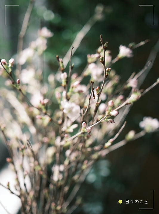 3.19. Thu. ｜ 継続