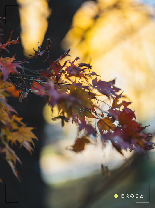 12.31. Wed. ｜ よいお年をお迎え下さい