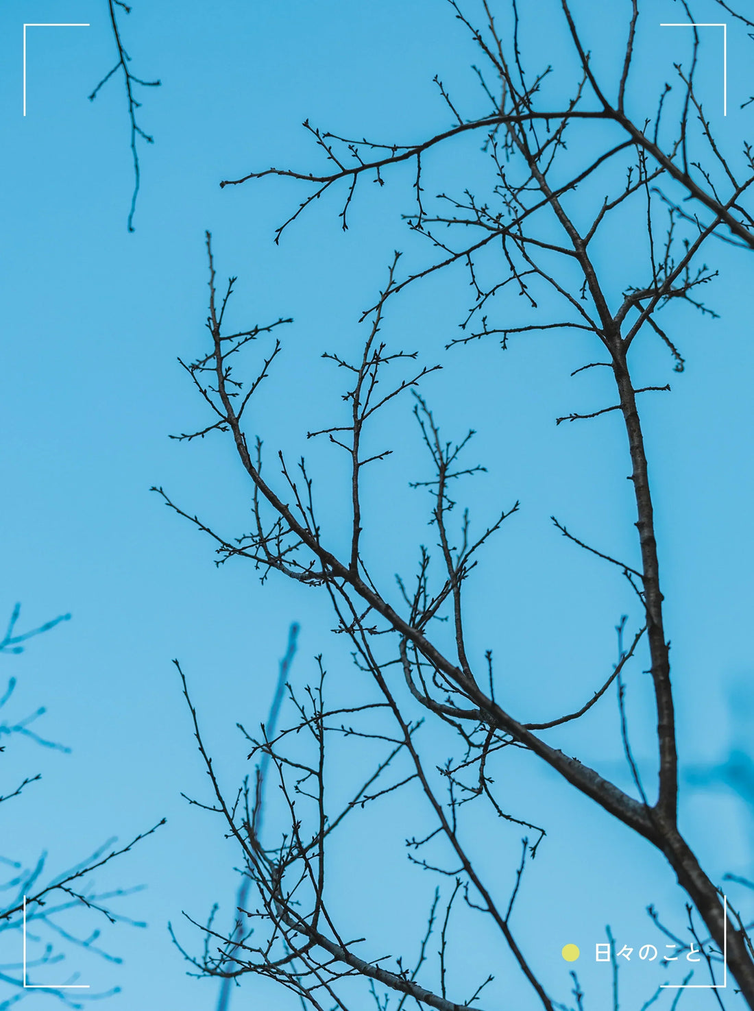 1.15. Thu. ｜ いつもの味