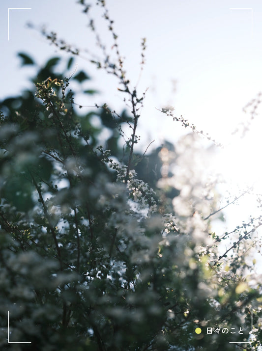 4.28. Tue. ｜ 迷子