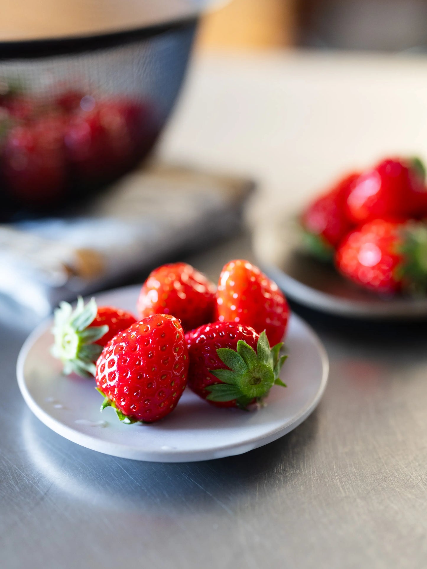 SyuRo プレート 10cm